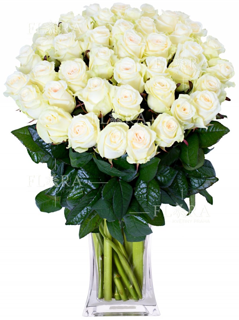 25 bílých růží: Flora Květiny Praha