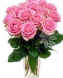 Ružové ruže: kvety online Praha