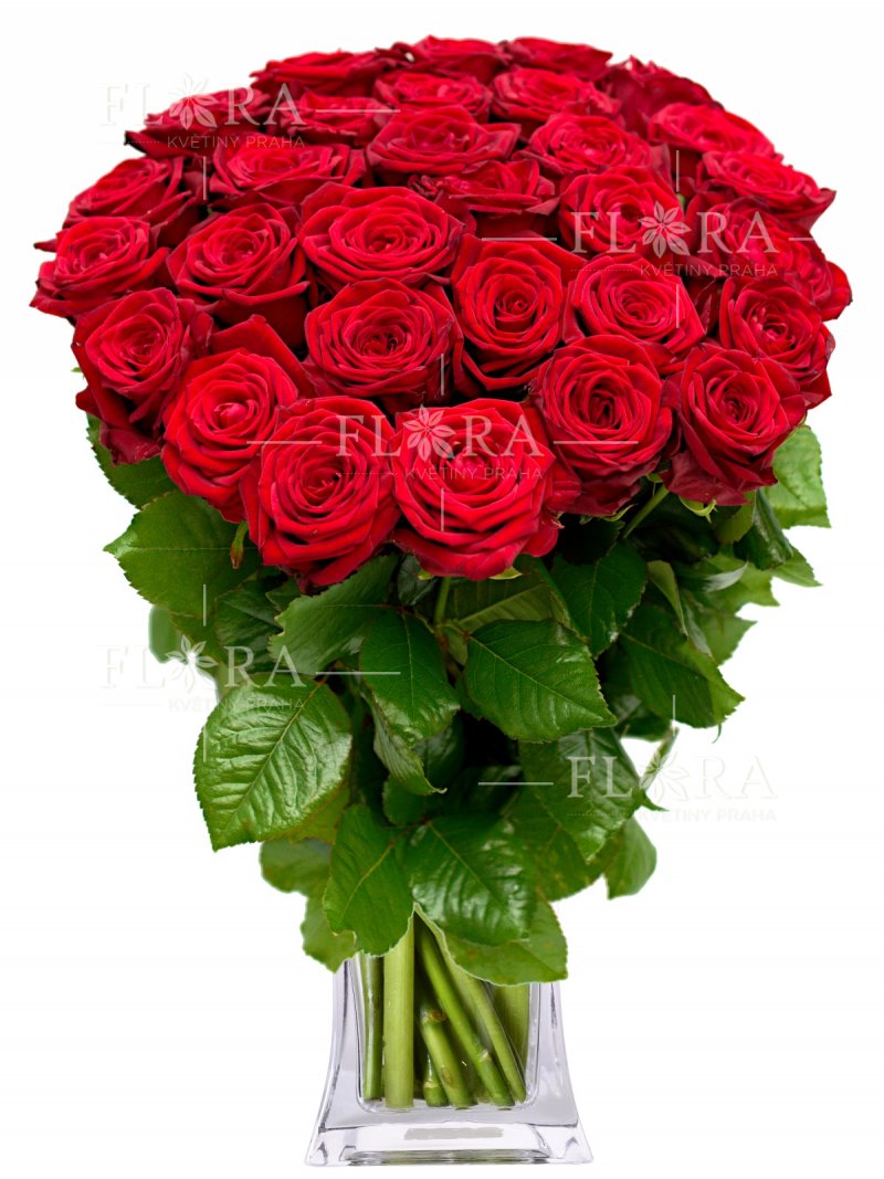 75 červených ruží:: Flora Kvety Praha