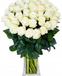 75 белых роз: цветы Прага