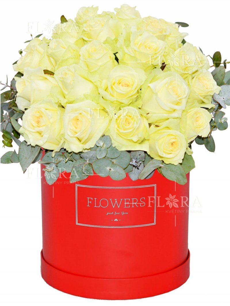 Růže v Krabici : Flora Květiny