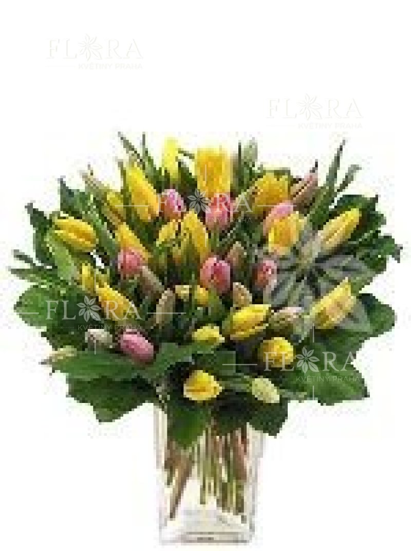 Mix tulipánov - Flora kvety